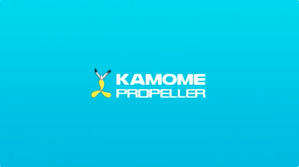 ゲートラダー製品紹介